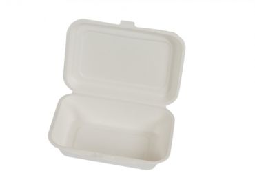 Bio-Eco Container+Lid fast food 172x113h37/52 