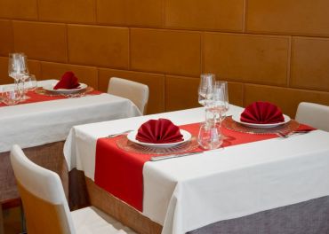 Runner TNT gr50-50x24mt