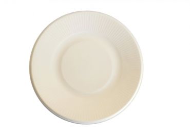 Bio-eco plate dm 21cellulose pulp