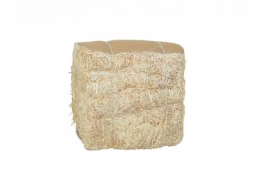 Natural wooden straw